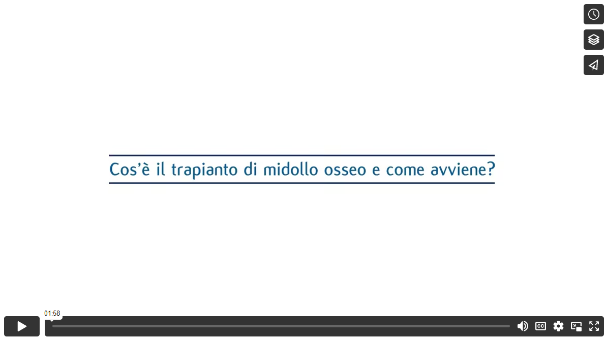 Leucemia mieloide acuta: