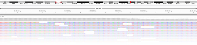 Genomic Unit