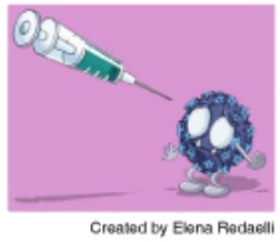 Ieo vaccinazione papilloma virus, Helminti și alergii