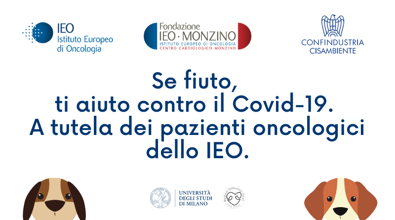 covid e cani