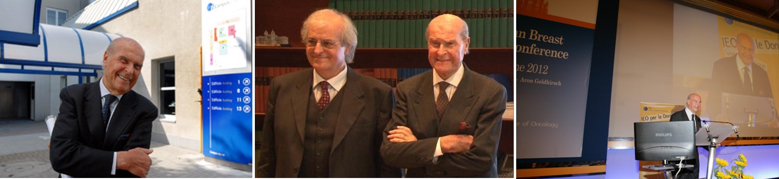 veronesi ieo veronesi ieo